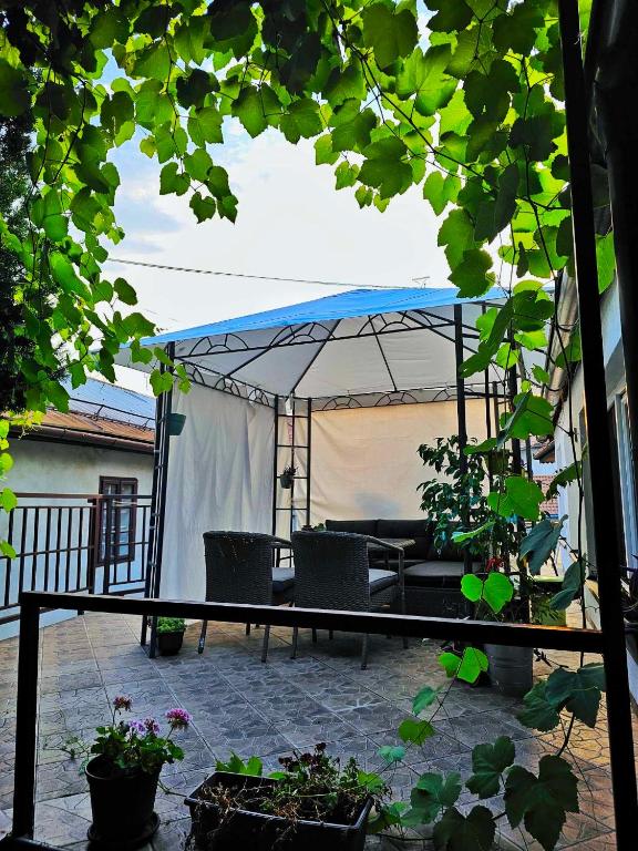 Studio Apartments Siesta - 1