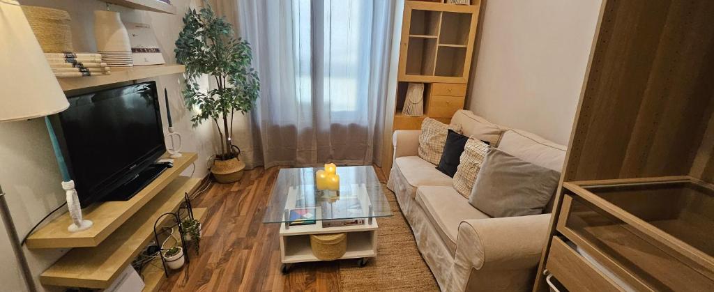 Apartamento céntrico-alquiler temporal más de 30 días - 4