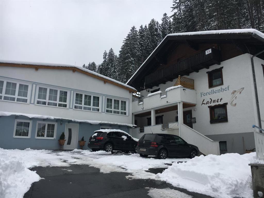 Haus Forellenhof - 4