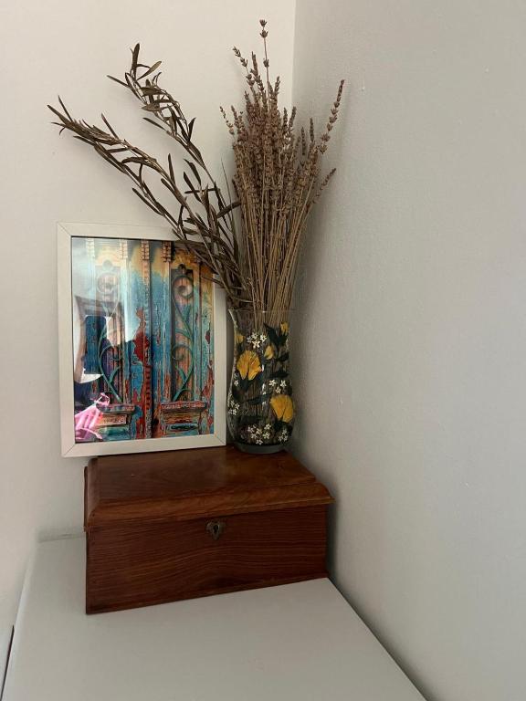 Casa Elvira - 4