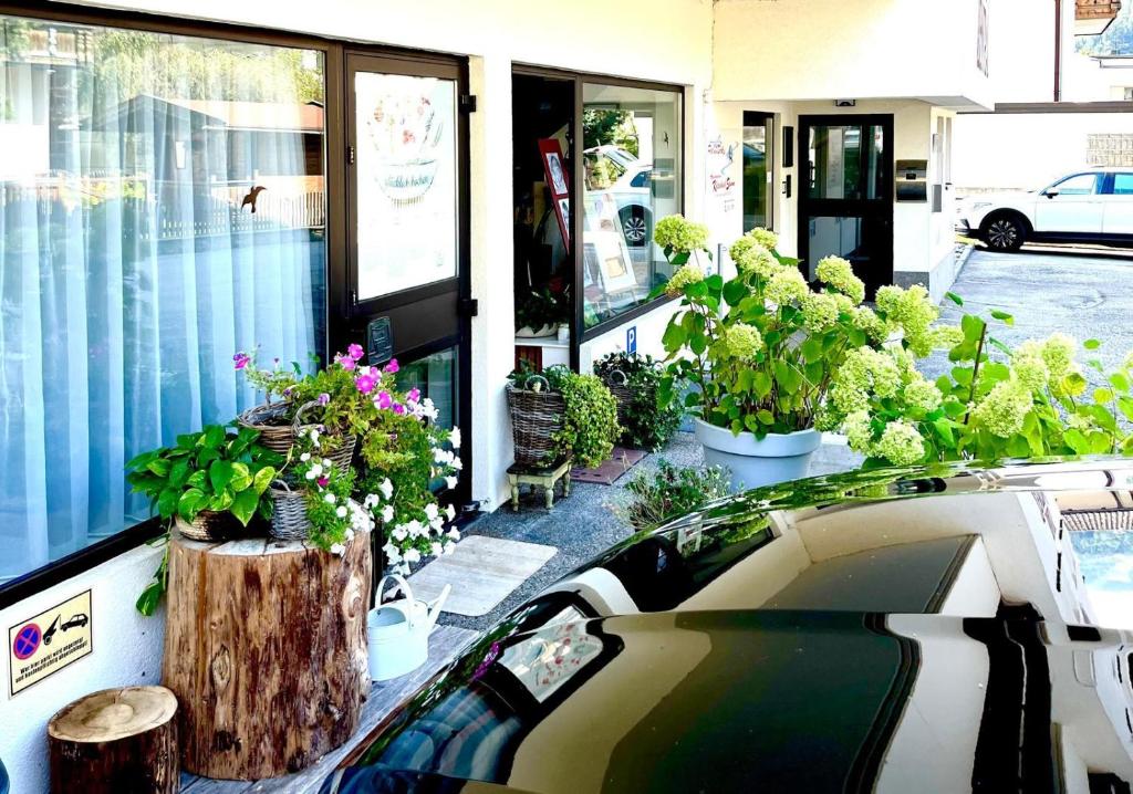 Maisonette Adelrun - 4