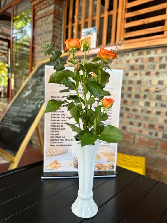 Ninh Bình Friendly Homestay