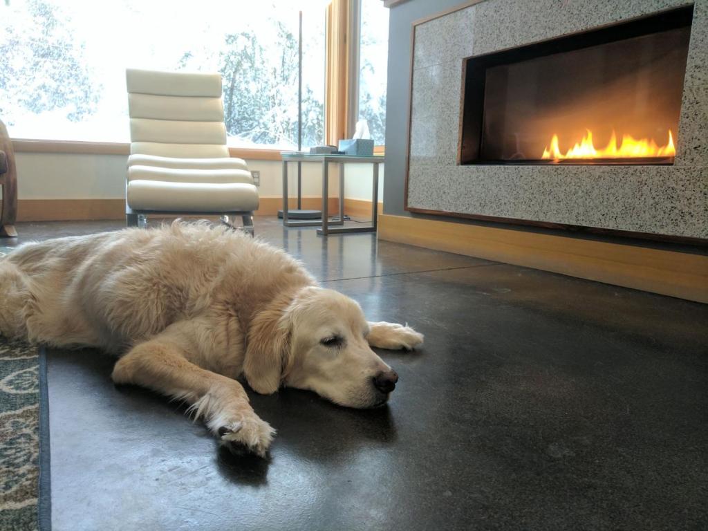 Bluebird Day - Haven, Bend