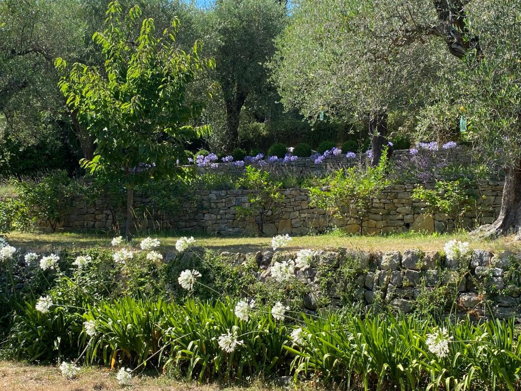 La Carabella - 2