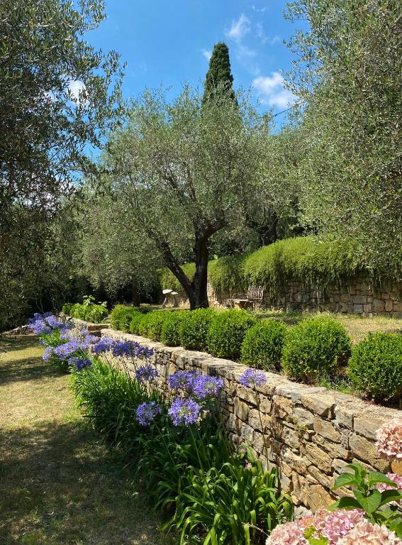 La Carabella - 5
