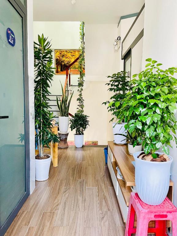 Leo’s Homestay Phan Rang