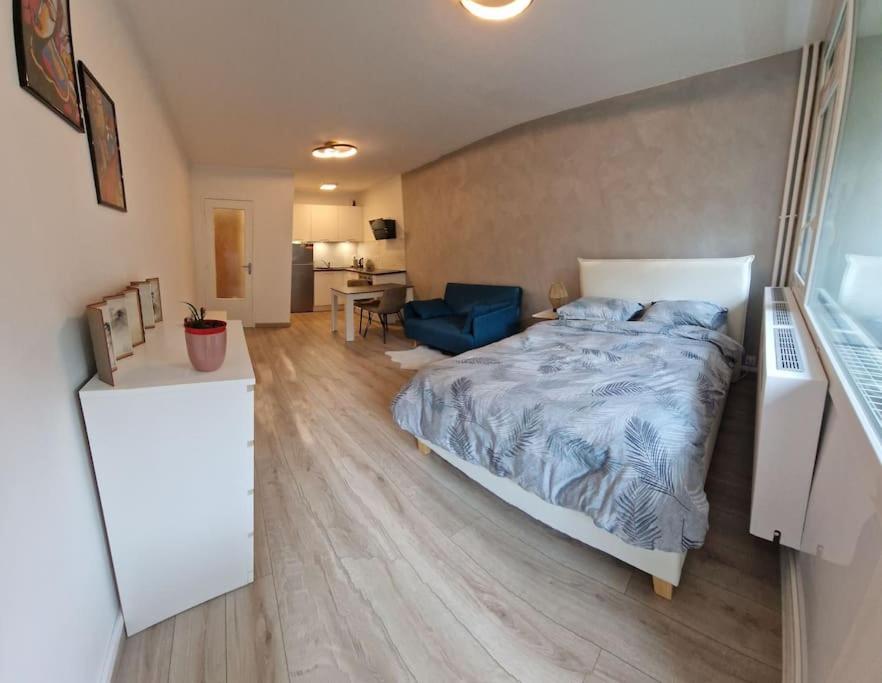 Charming new appartment near Geneva, Ferney-Voltaire