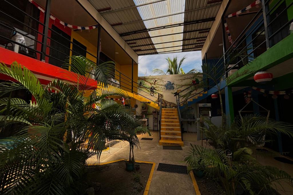 Carey Lodging, Tortuguero