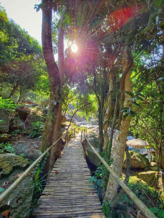 Surrounding environment