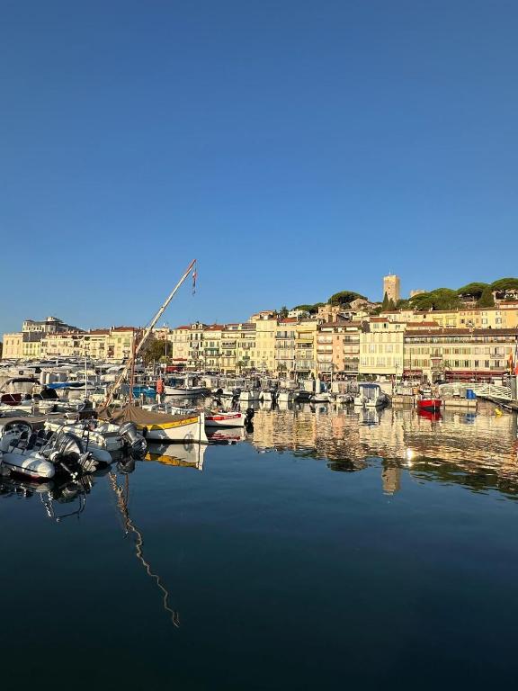 Cannes Duplex Villa Terrace Parking Near Palais & Beach - 3