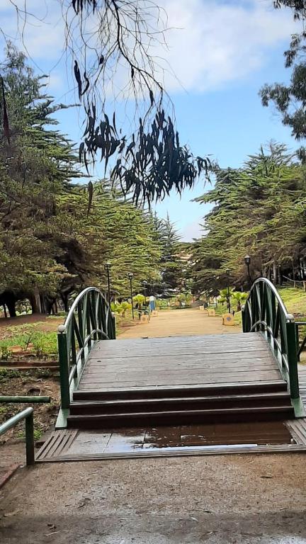 Hermoso Departamento Duplex en Ilimay, para 6 personas - 1