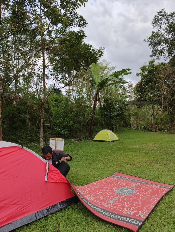 Potentia Tent