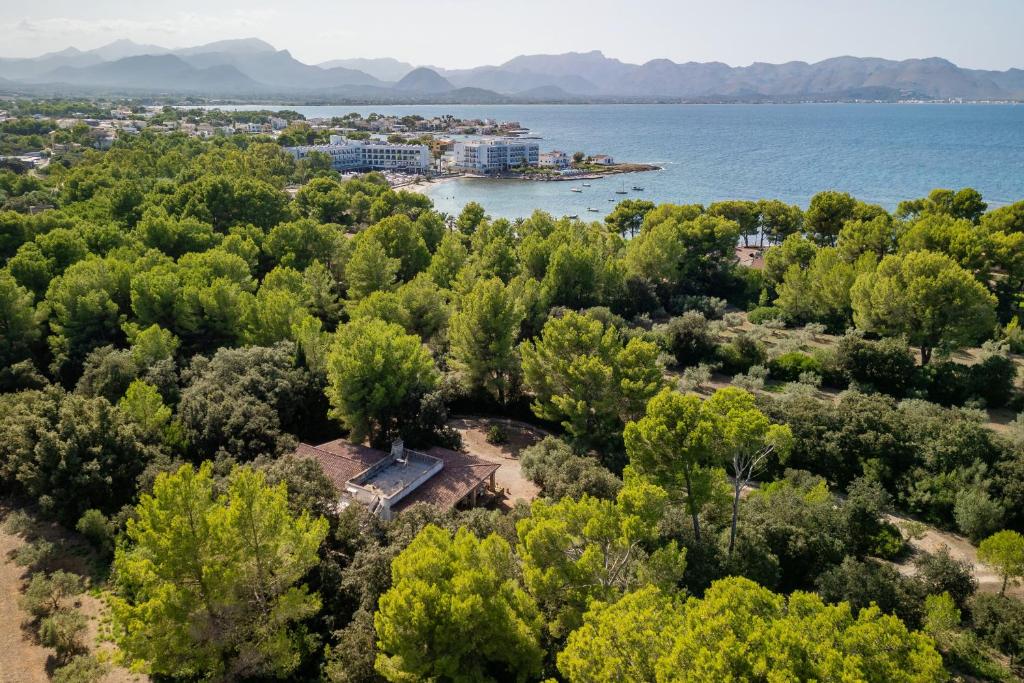 E430 Can Simo by Mallorca Villa Selection, Alcudia