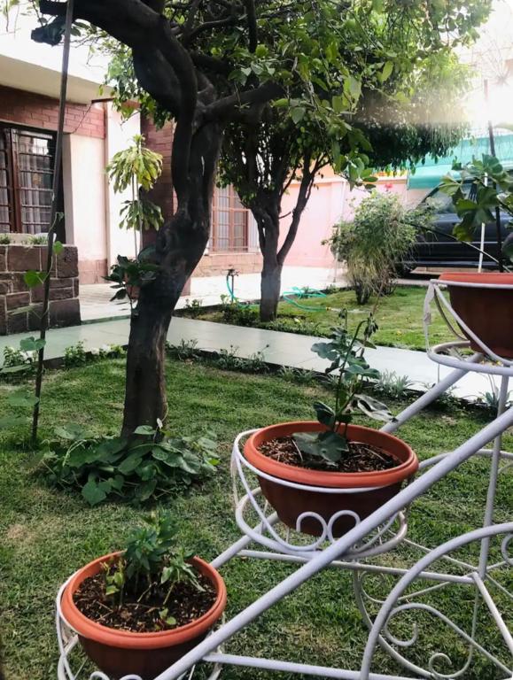 Duplex cálido y centrico - 5