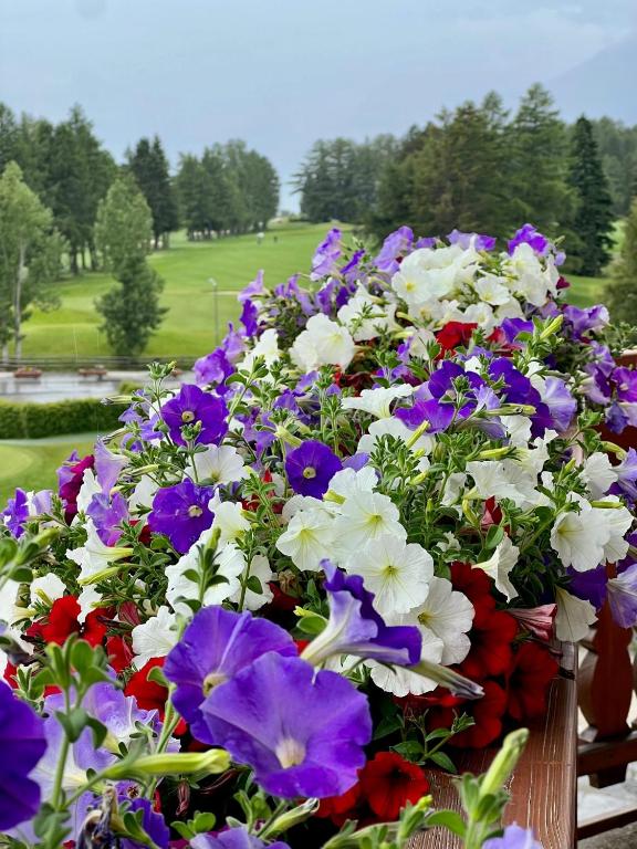 Exclusive Comfy Apartment in Central Crans-Montana - 4