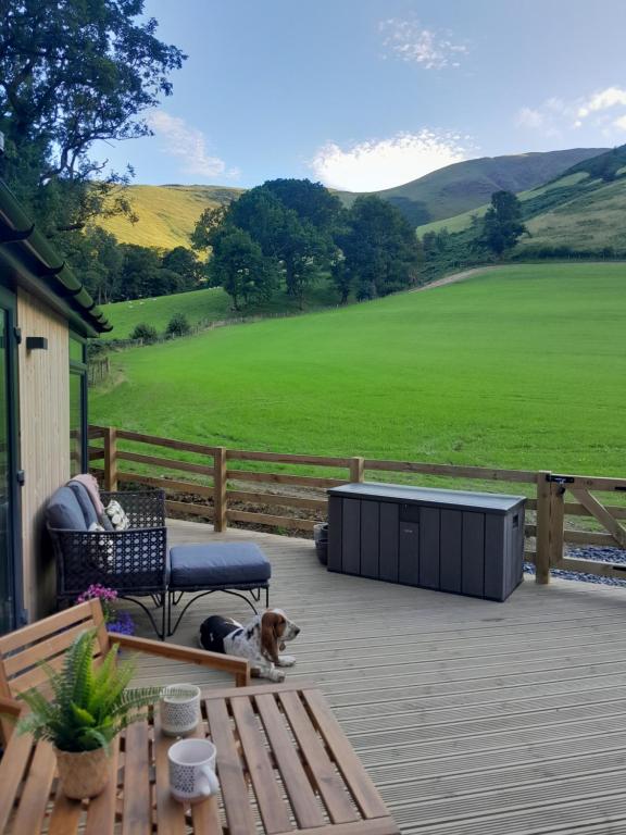 Nant Gwenyn - Hafan Hideaways Eryri photo 4