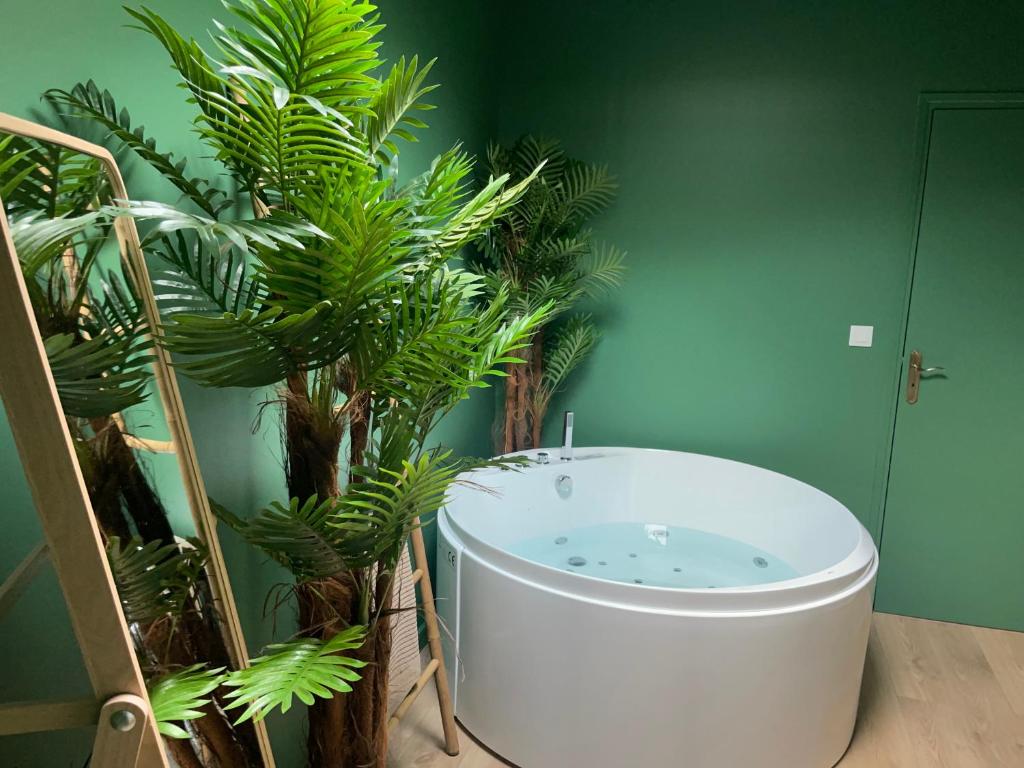 Évasion exotique - Suite Selva - Jaccuzzi privatif - 5