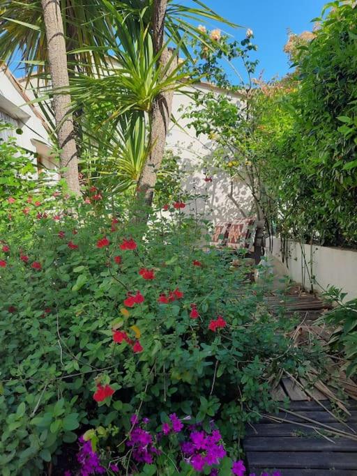 Maison centre Montpellier Jardin et proche plage - 5