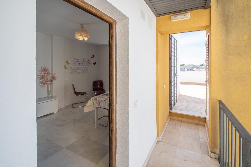 Apartamentos El Ático de Hércules - 5