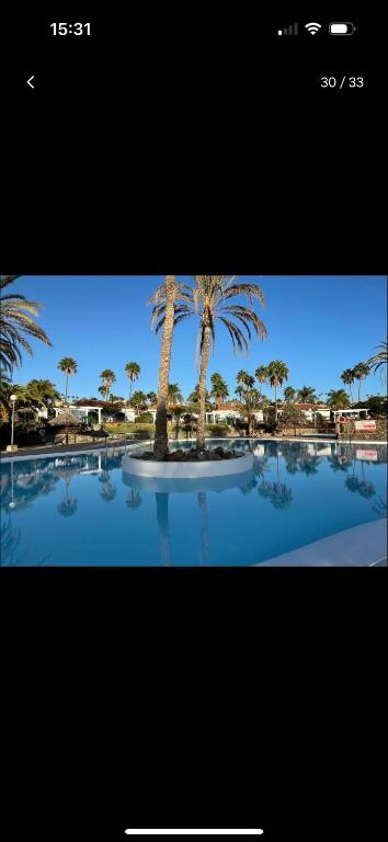 Precioso bungalow en Maspalomas Parque Golf - 3