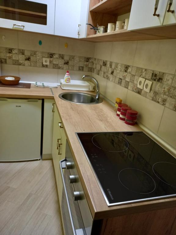 Divčibare apartmani Gavrić - 2