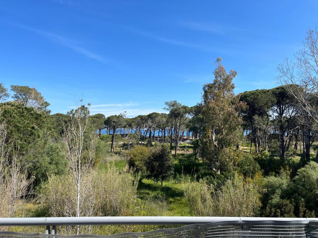 T3 Pibede face à la plage, Calvi