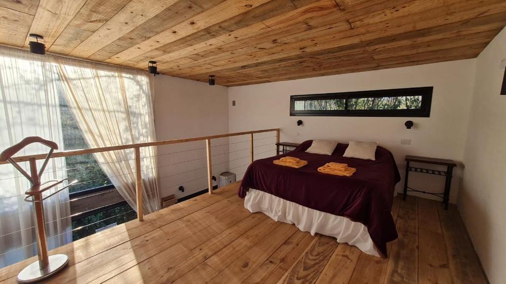 Cabaña del Cedro Azul, San Lorenzo - 3