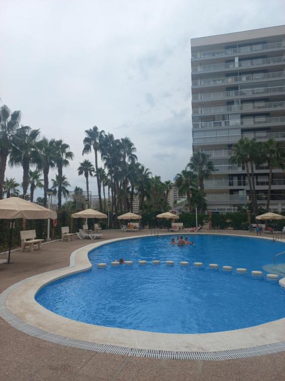 Marina dort Acapulco I primera línea de playa - 1