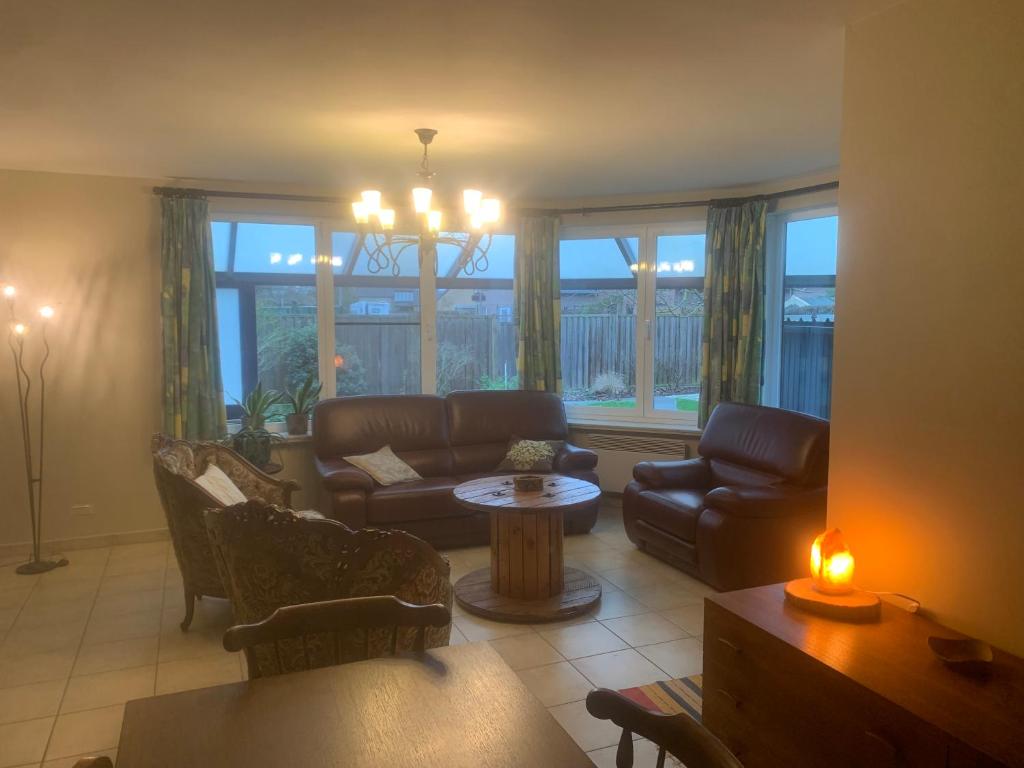 Twisted Willow, Dendermonde