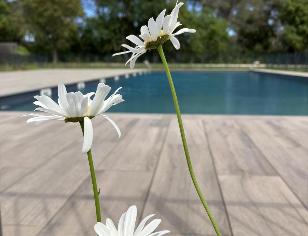 Rez de Jardin T3 recent et calme au Nouvelles Terres à La Londe les Maures - 3