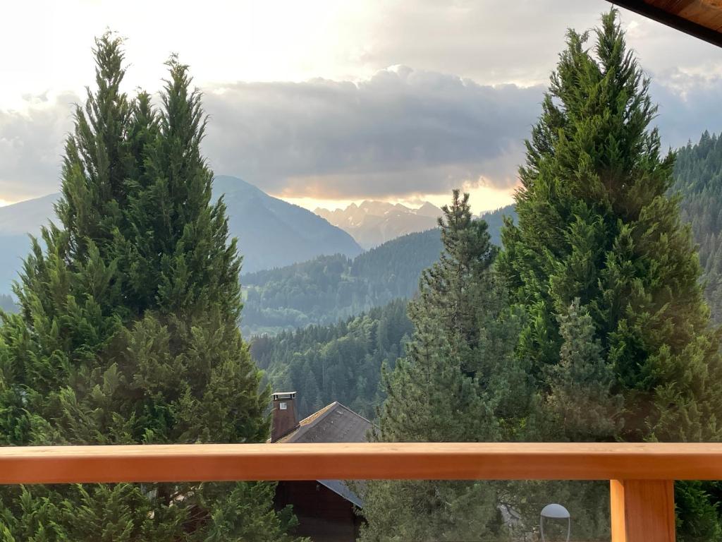 Chalet l'Alisier - Modern chalet, beautiful mountain view, Morzine-Les Gets - 2