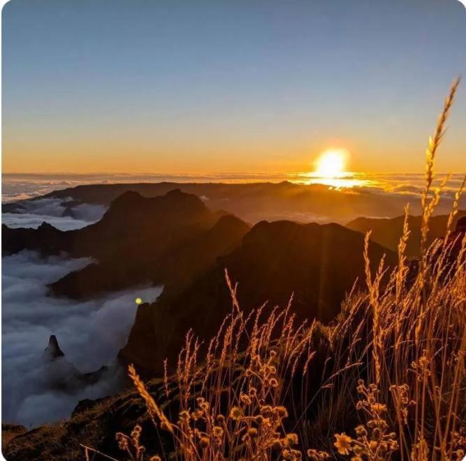Refúgio do Vale, Ribeira Brava