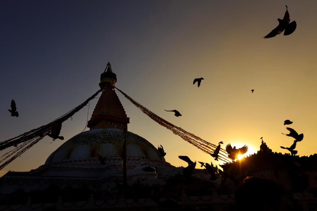 Surrounding environment