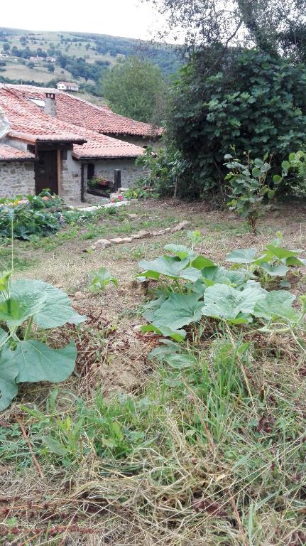 Albergue De Soba photo