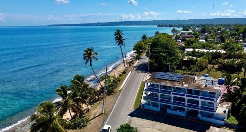 Octopus Oasis, Aguada