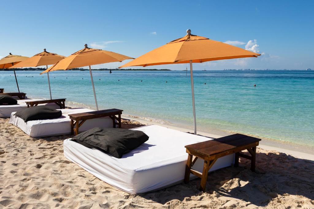 Playa Norte Oceanfront Remote Work Plus Concierge - 5