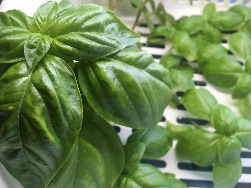 Wagyu hostel nedoko 호텔 이미지 1