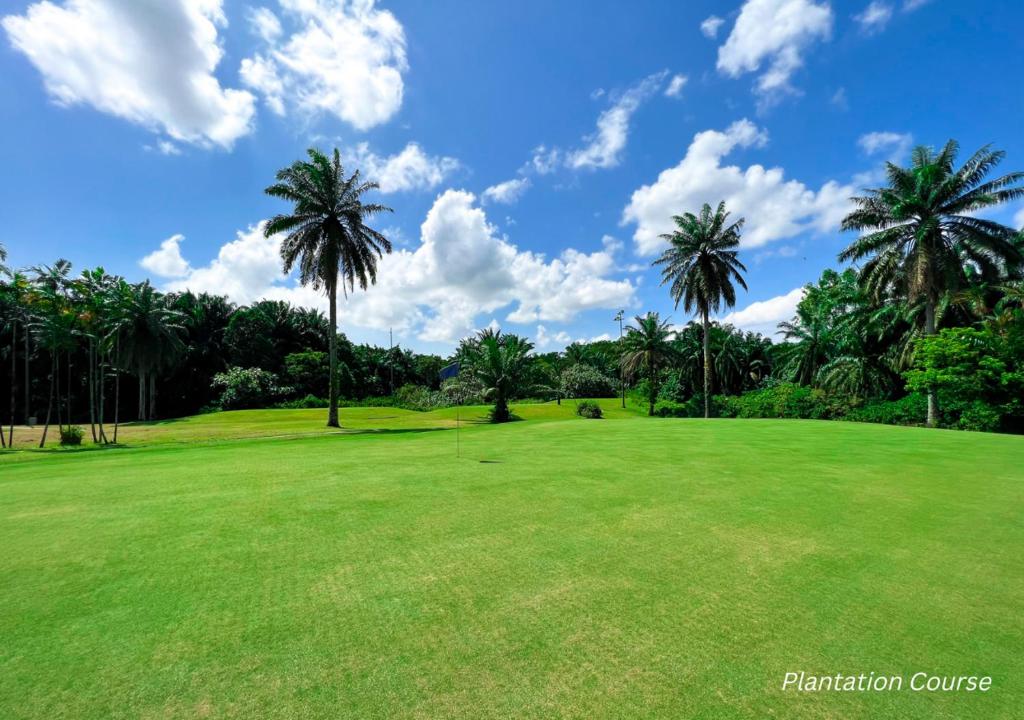 Golf course [on-site]