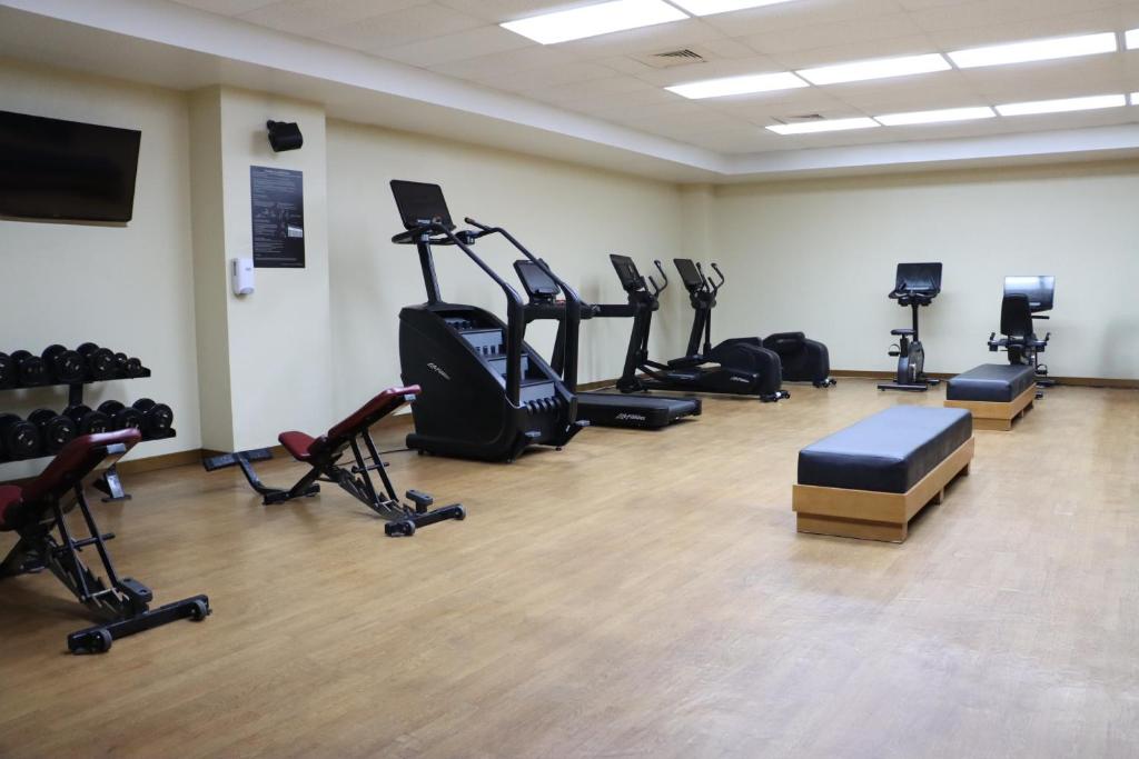 Gimnasio