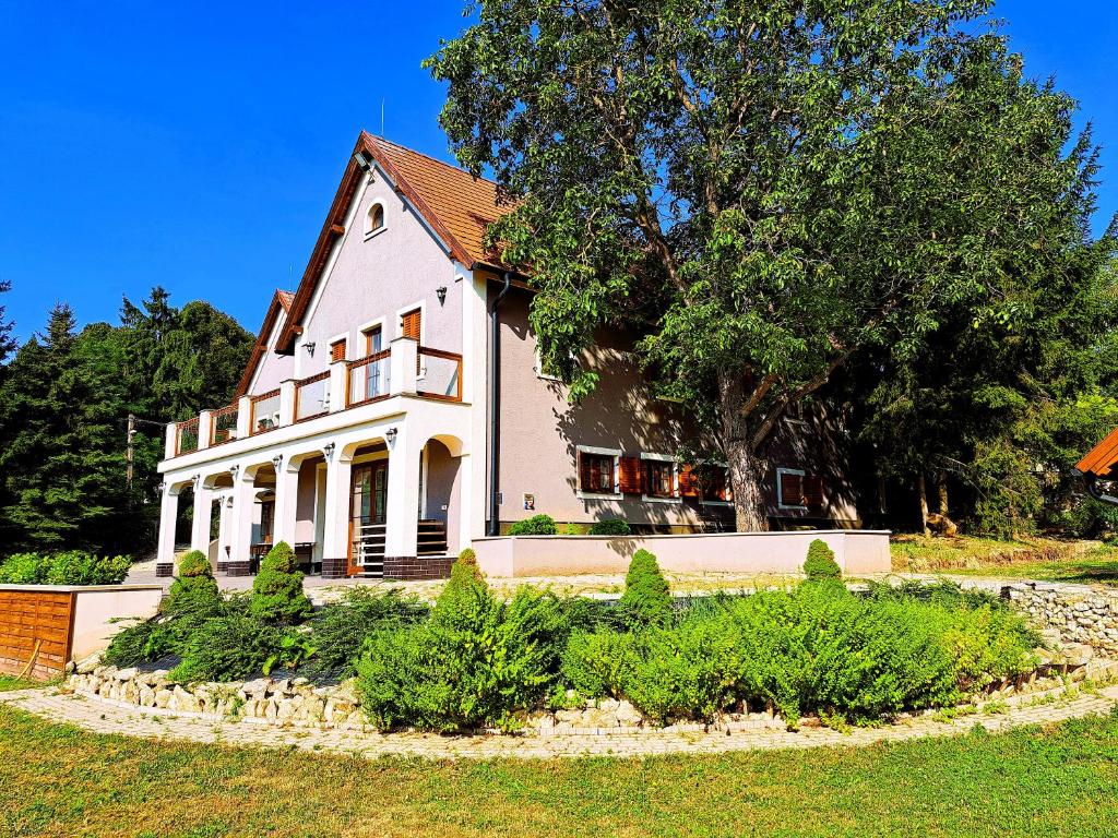 Leimen Centrum, Mány