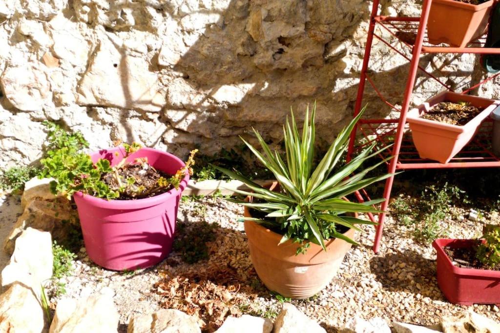 Le Loft Cosy - Centre ville - Cadre Royal - 3