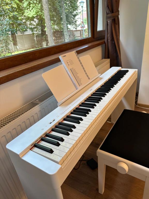 Peles Green Apartment & Piano 전경