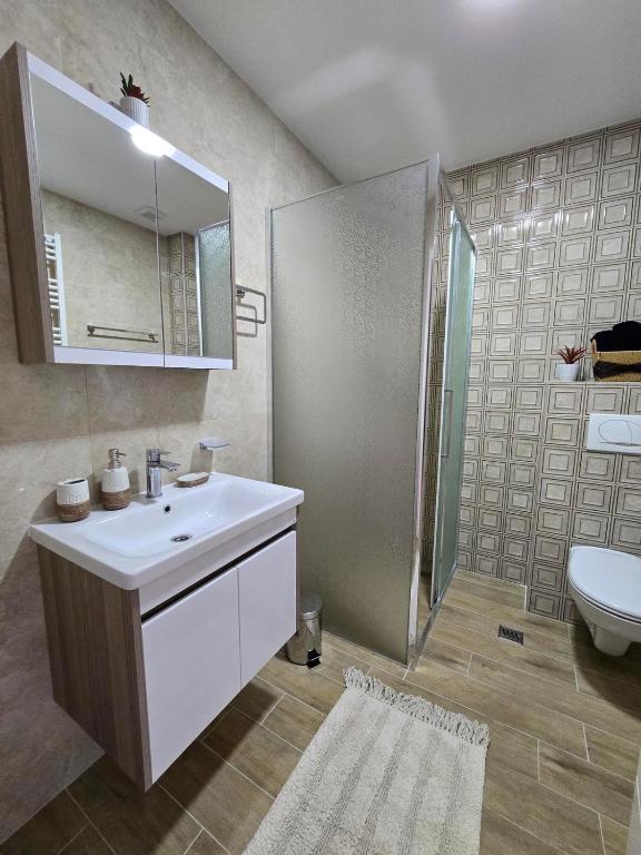 Apartmani Tesic - 3