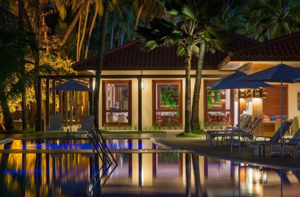 Ảnh 4