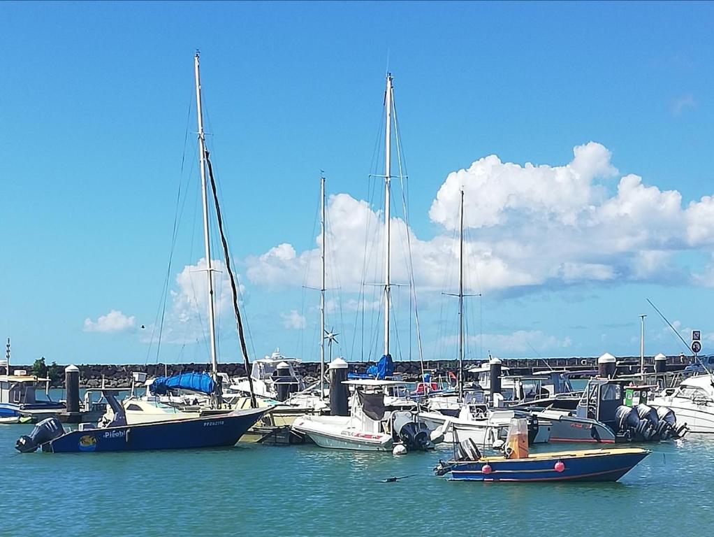 L'abri côtier, Port-Louis