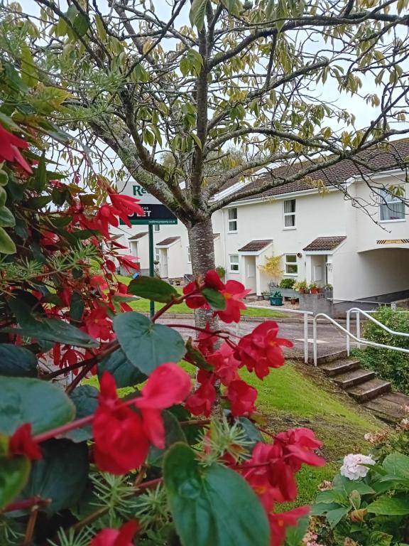 Three miles from the sea, Sidbury