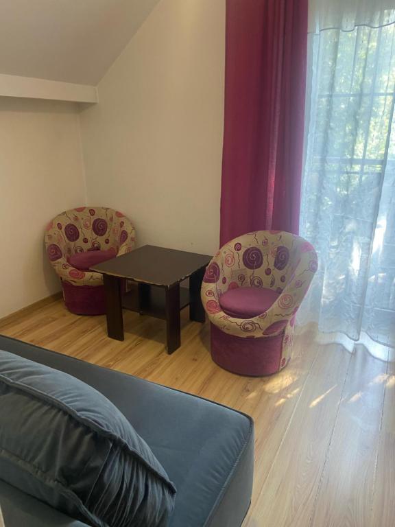 Willa Faustynka, Nałęczów