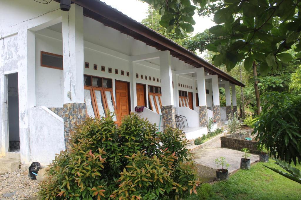Green View Guest House only treking with US, Bukit Lawang