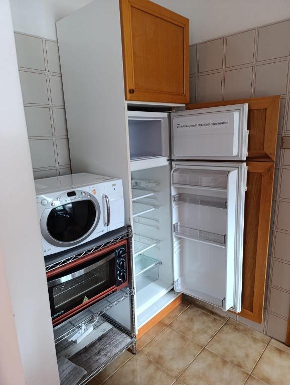 Garnì Bonsai - 3