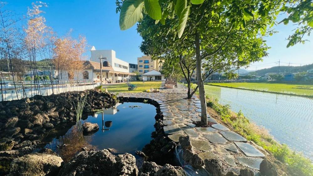 스테이다로 마당 풍경